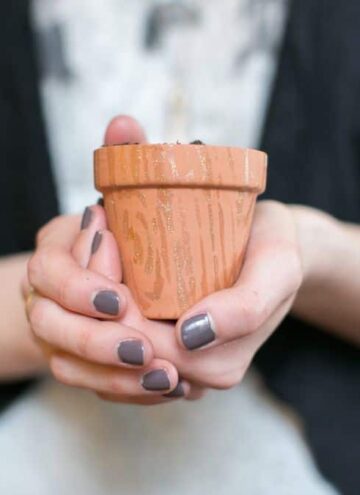 How To Decorate Mini Planters With Nail Polish