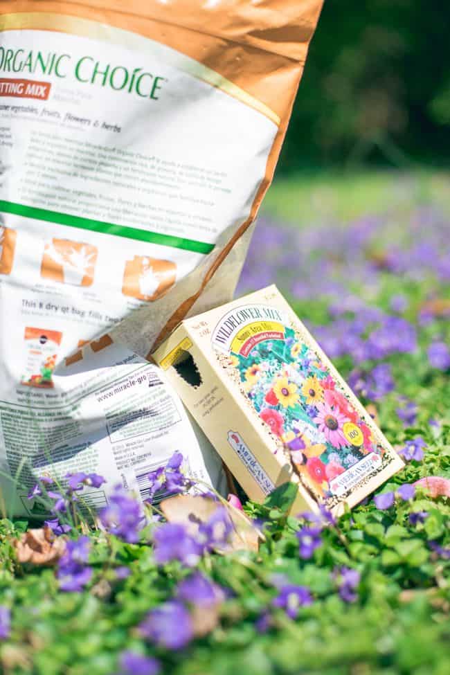 DIY Wildflower Seed Bombs | HelloGlow.co