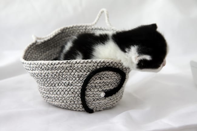 Cat DIY Rope Basket - Hello Nest