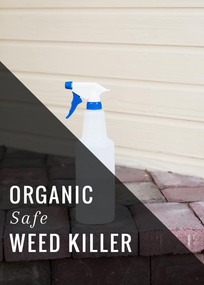 Natural Weed Killer (Organic and Safe!) | HelloGlow.co