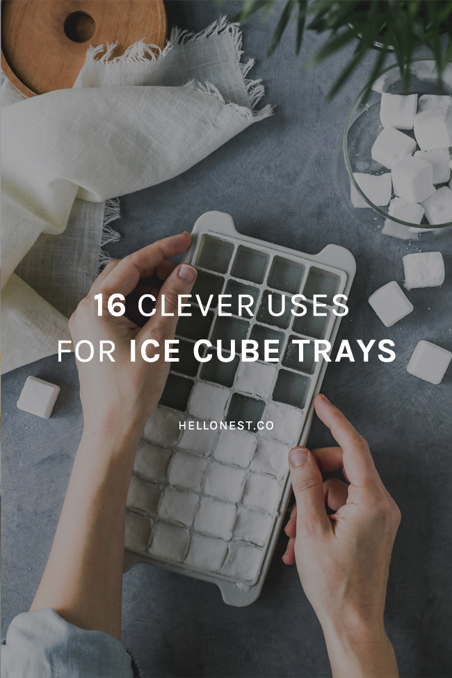 https://hellonest.co/wp-content/uploads/2015/06/16-clever-uses-for-ice-cube-trays.jpg