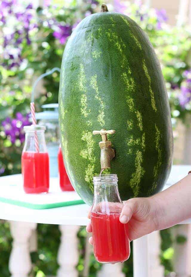 Watermelon Drink Dispenser