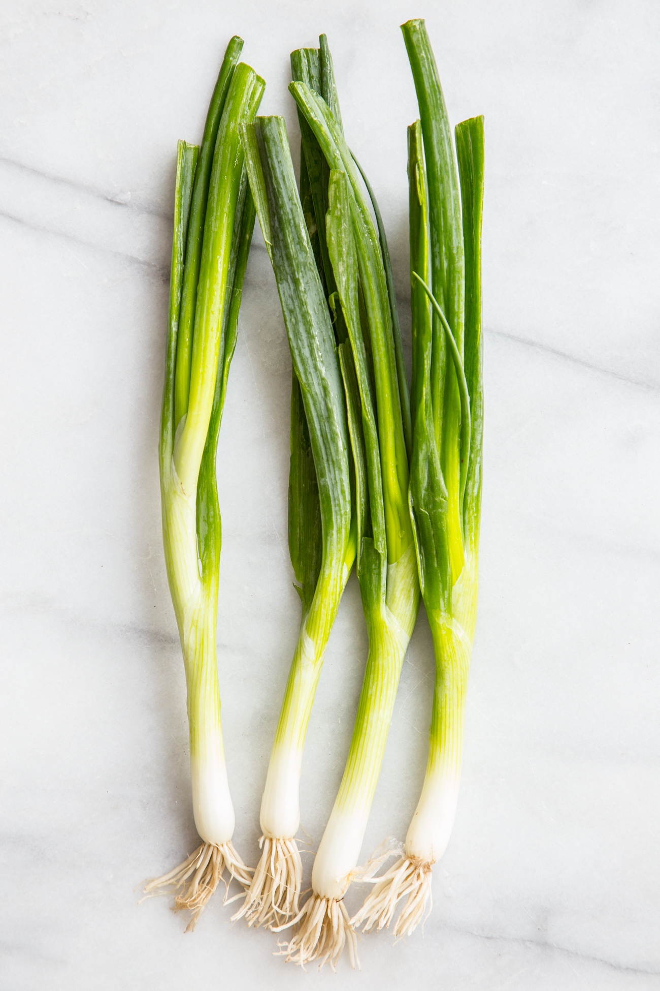 Spring onions