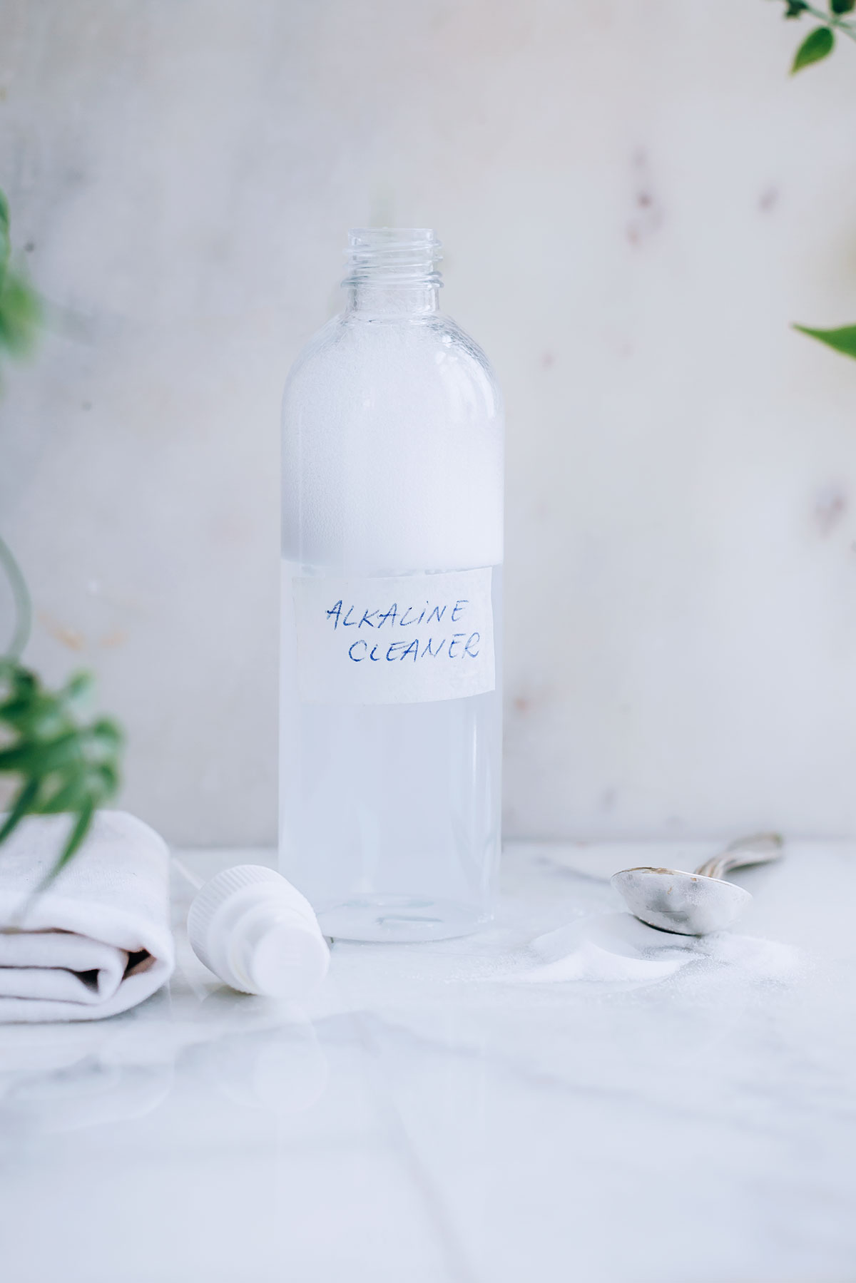 Alkaline DIY All Purpose Cleaner Recipe