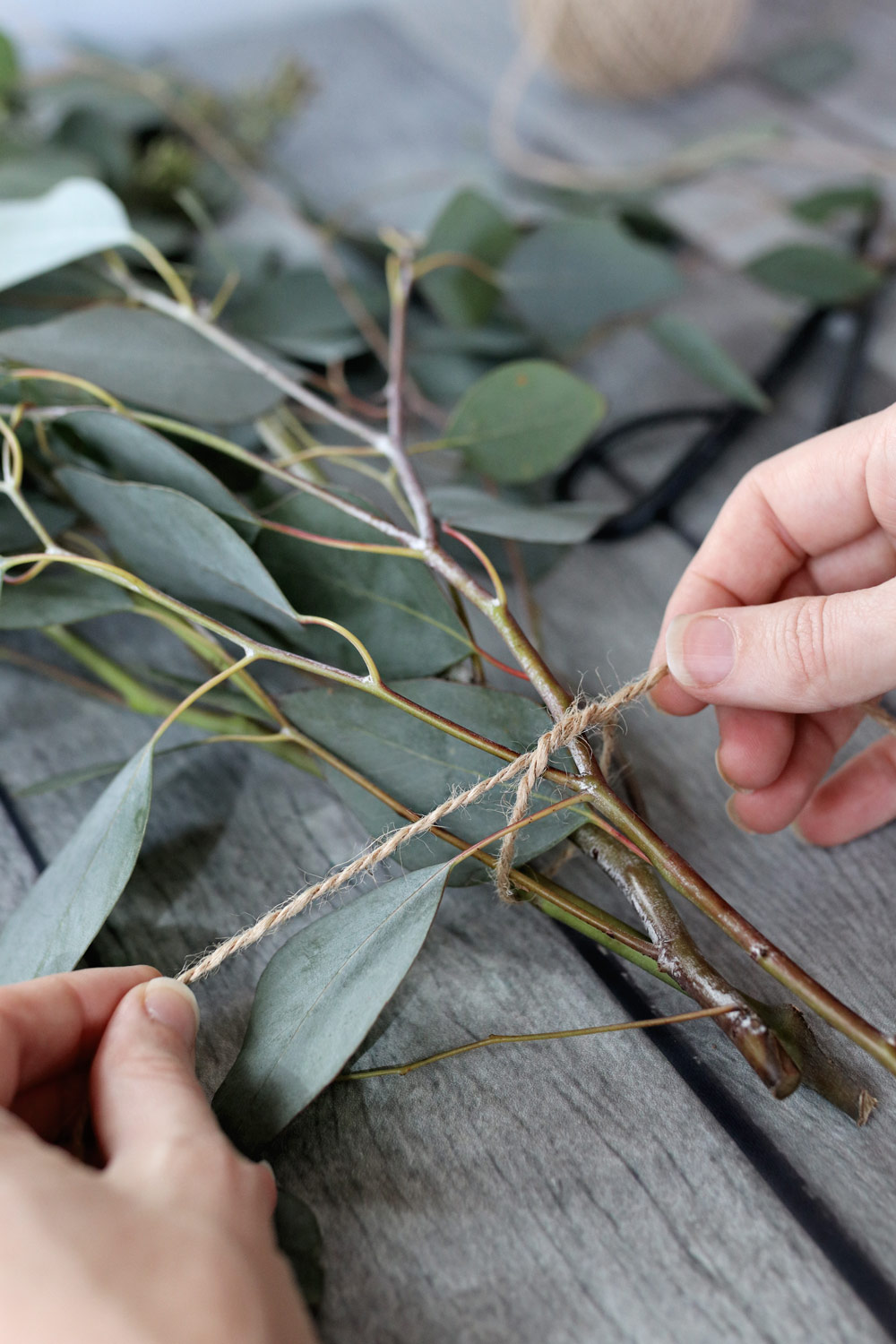 DIY Eucalyptus Wreath Tutorial