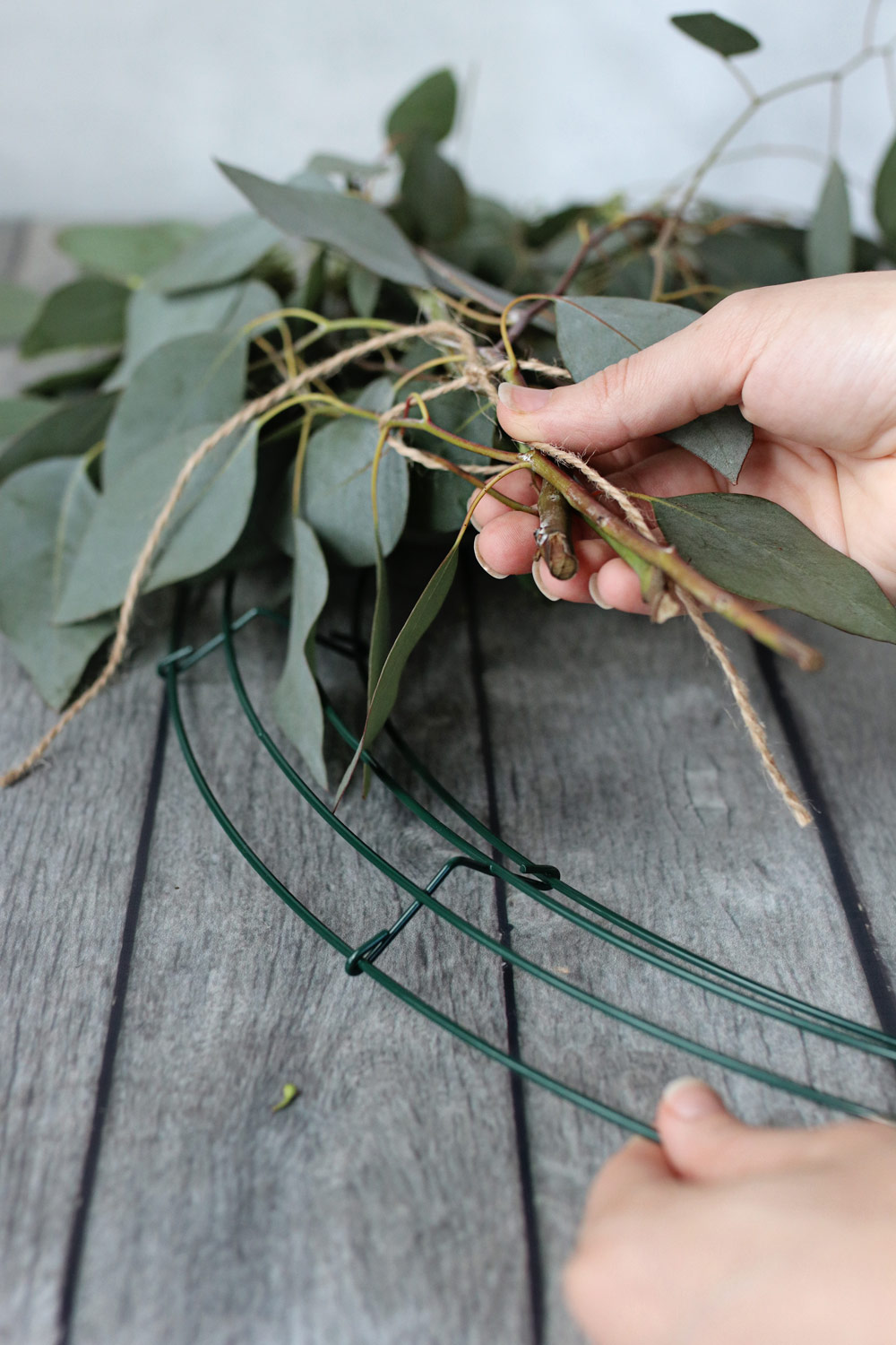 How to Make a Wreath with Fresh Eucalyptus