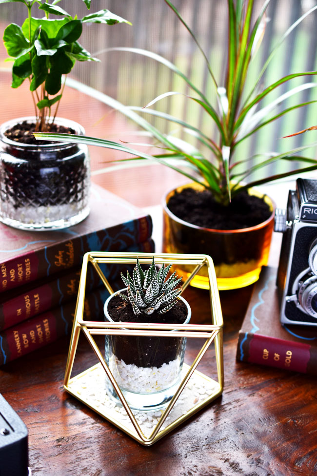 DIY open terrarium from Woman in Real Life | 8 Creative Candle Jar Uses