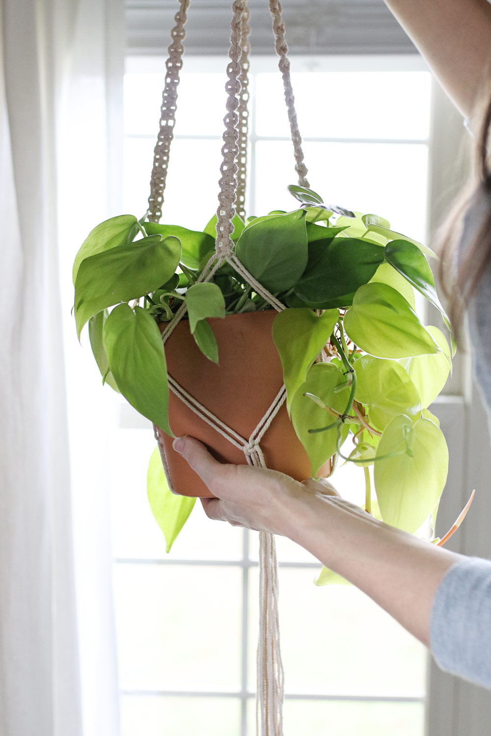 DIY Macrame Plant Hanger | Hello Nest