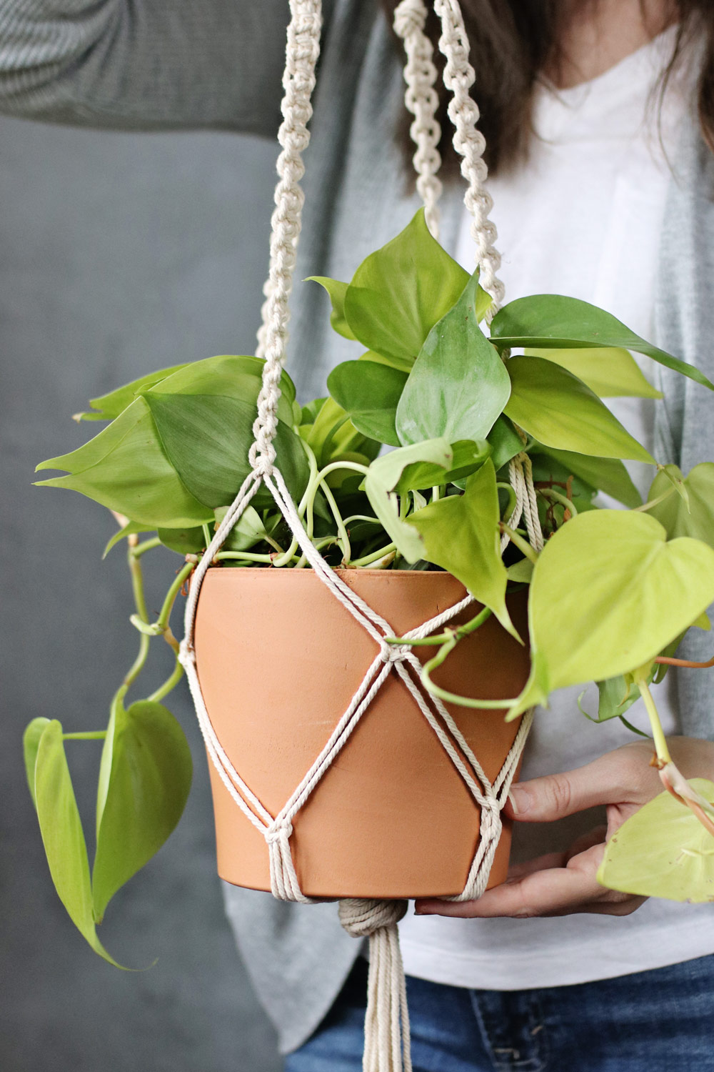 Why are my pothos leaves turning yellow?