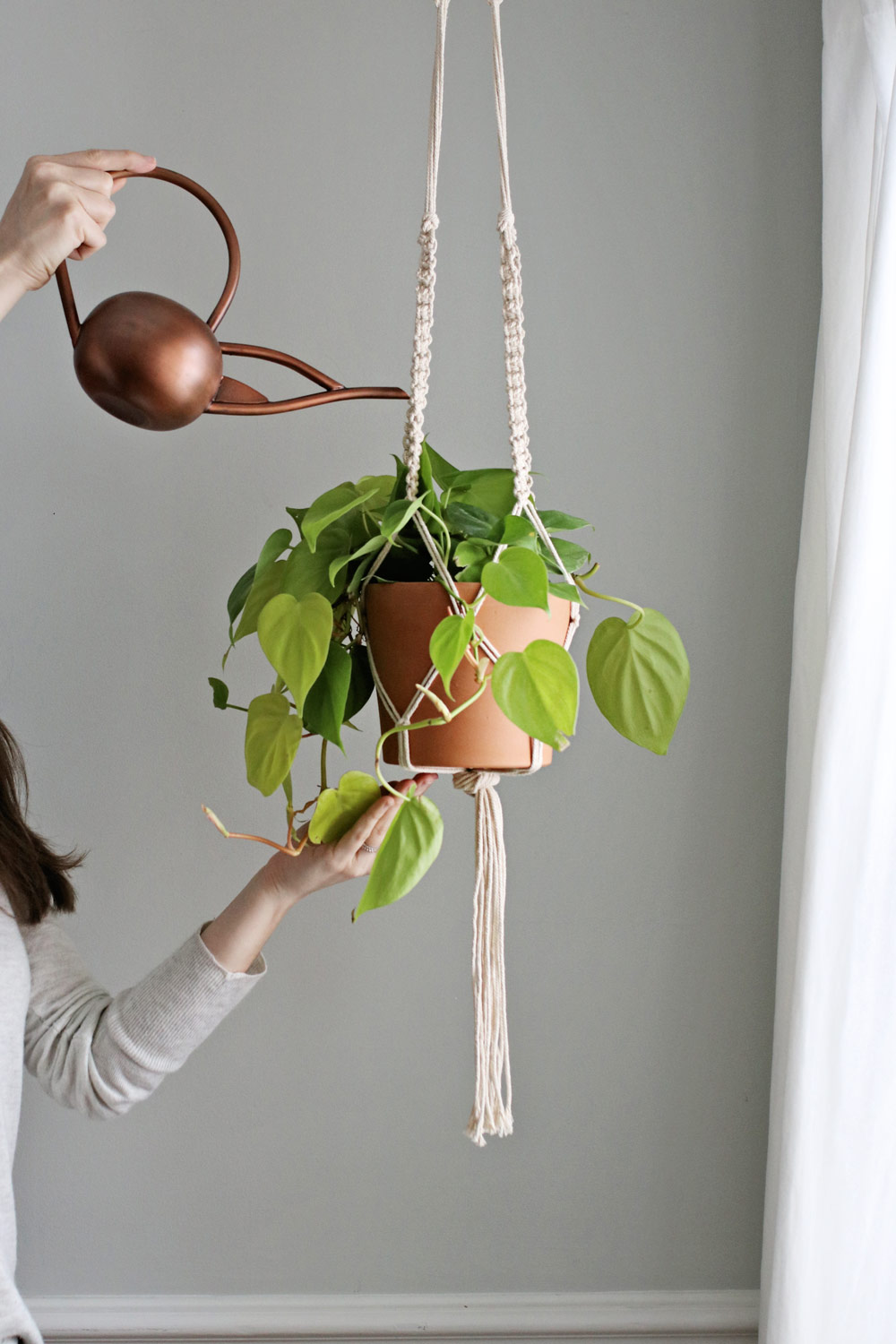 macrame plant hanger diy