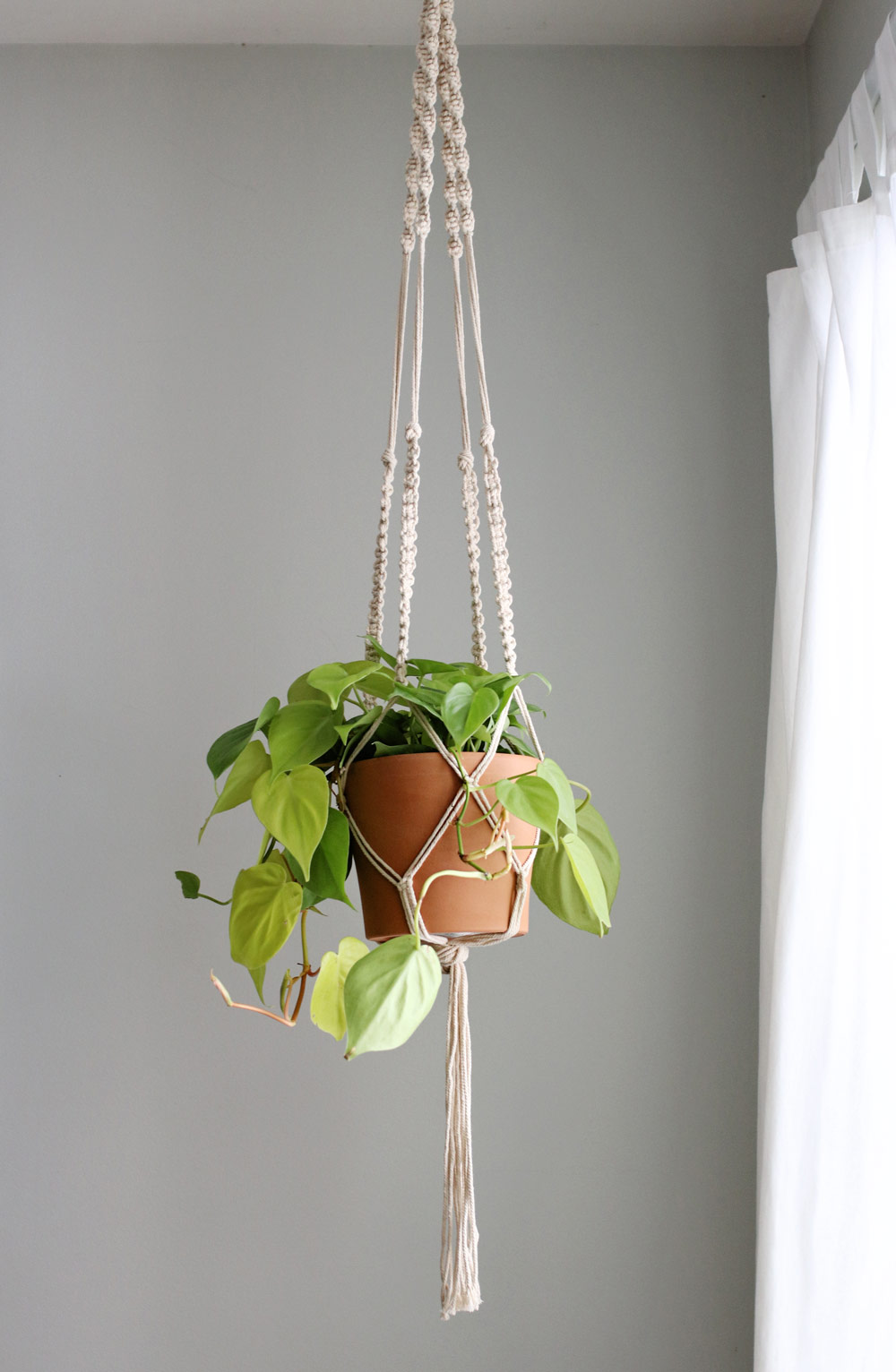 DIY Macrame Plant Hanger | Hello Nest