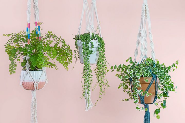 How to Make a Macramé Plant Hanger from FTD | 8 Modern DIY Macrame Projects