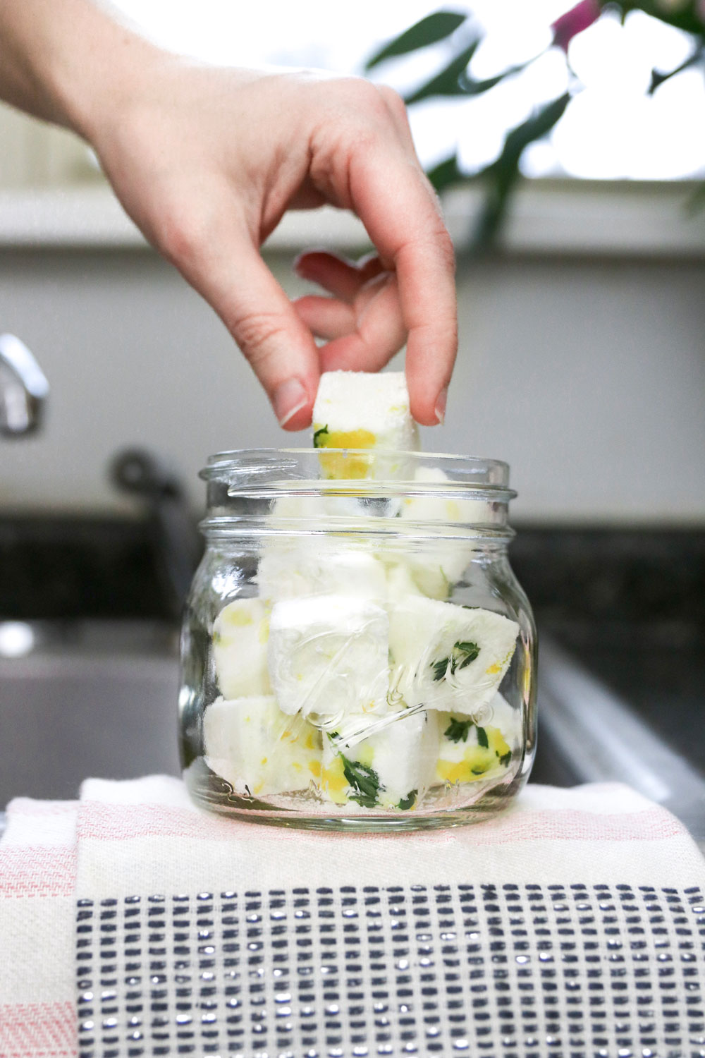 DIY Garbage Disposal Cleaners