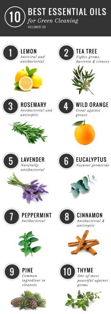 10 Best Essential Oils for Green Cleaning | Hello Nest