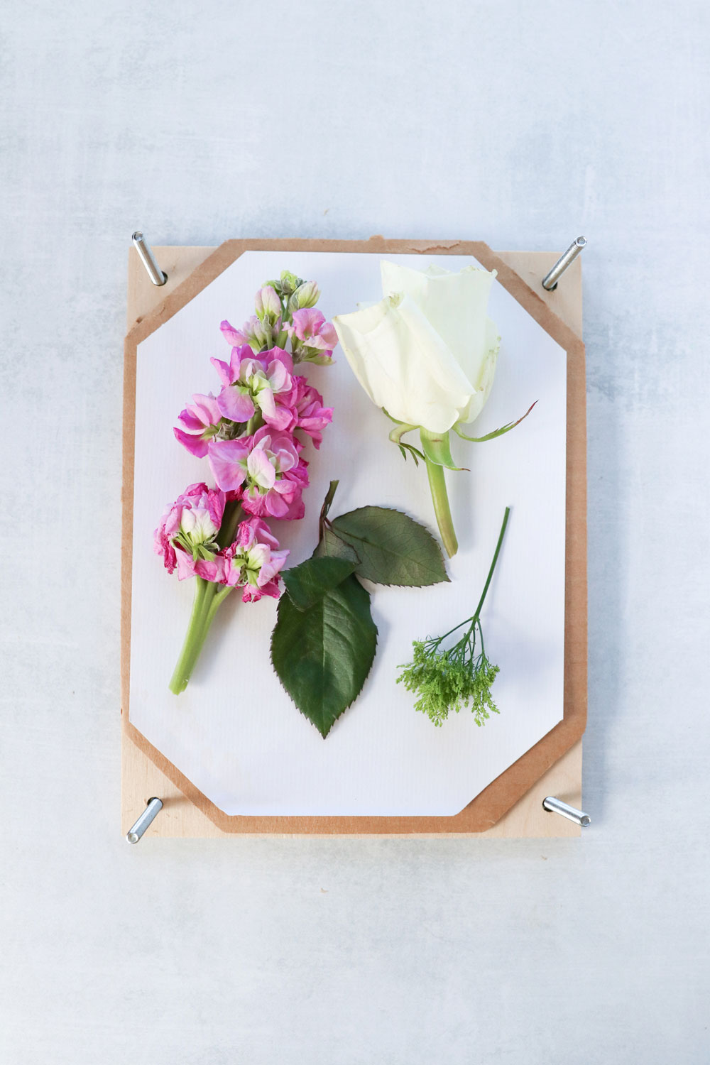 How To Press Flowers + Make a DIY Flower Press