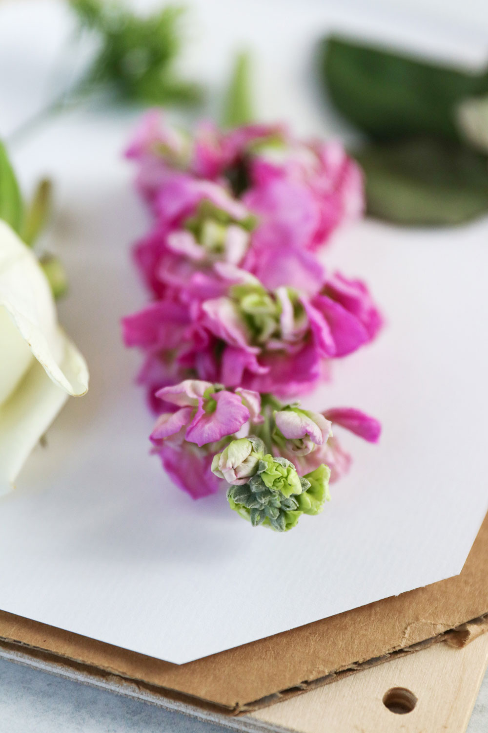 How To Press Flowers + Make a DIY Flower Press