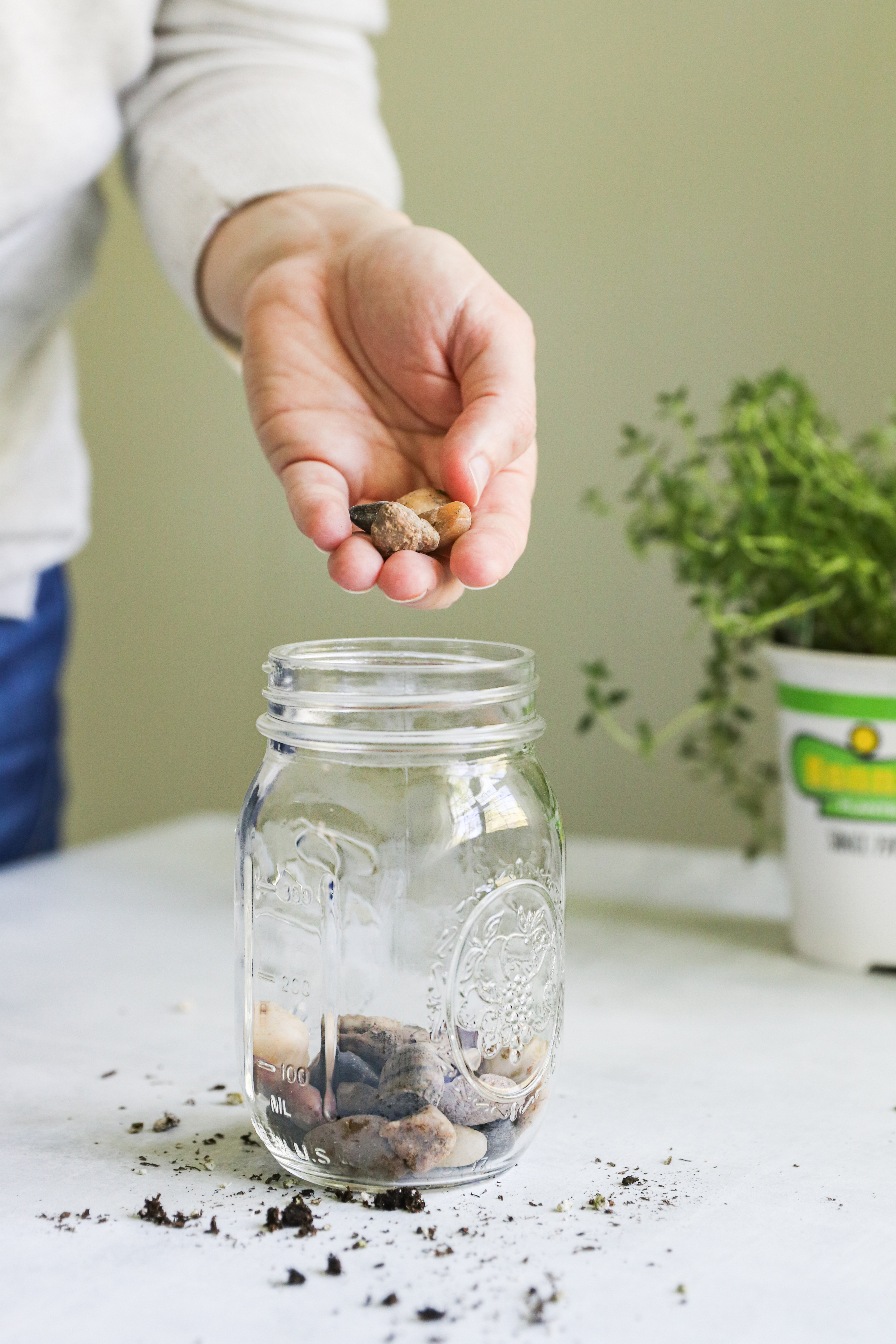 Hogyan készítsünk egy Mason Jar gyógynövény kertet