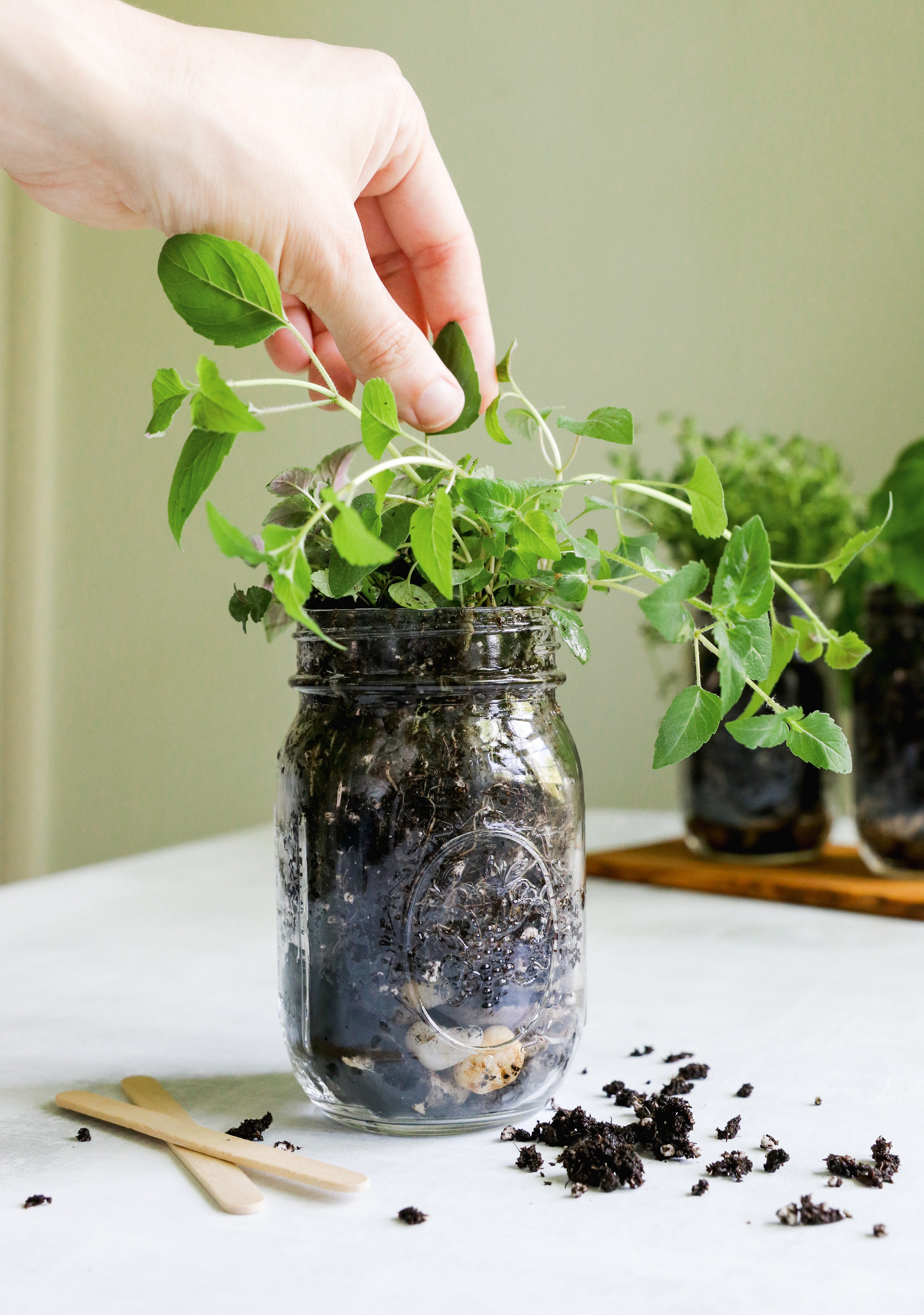 hur man gör en Mason Jar Herb Garden