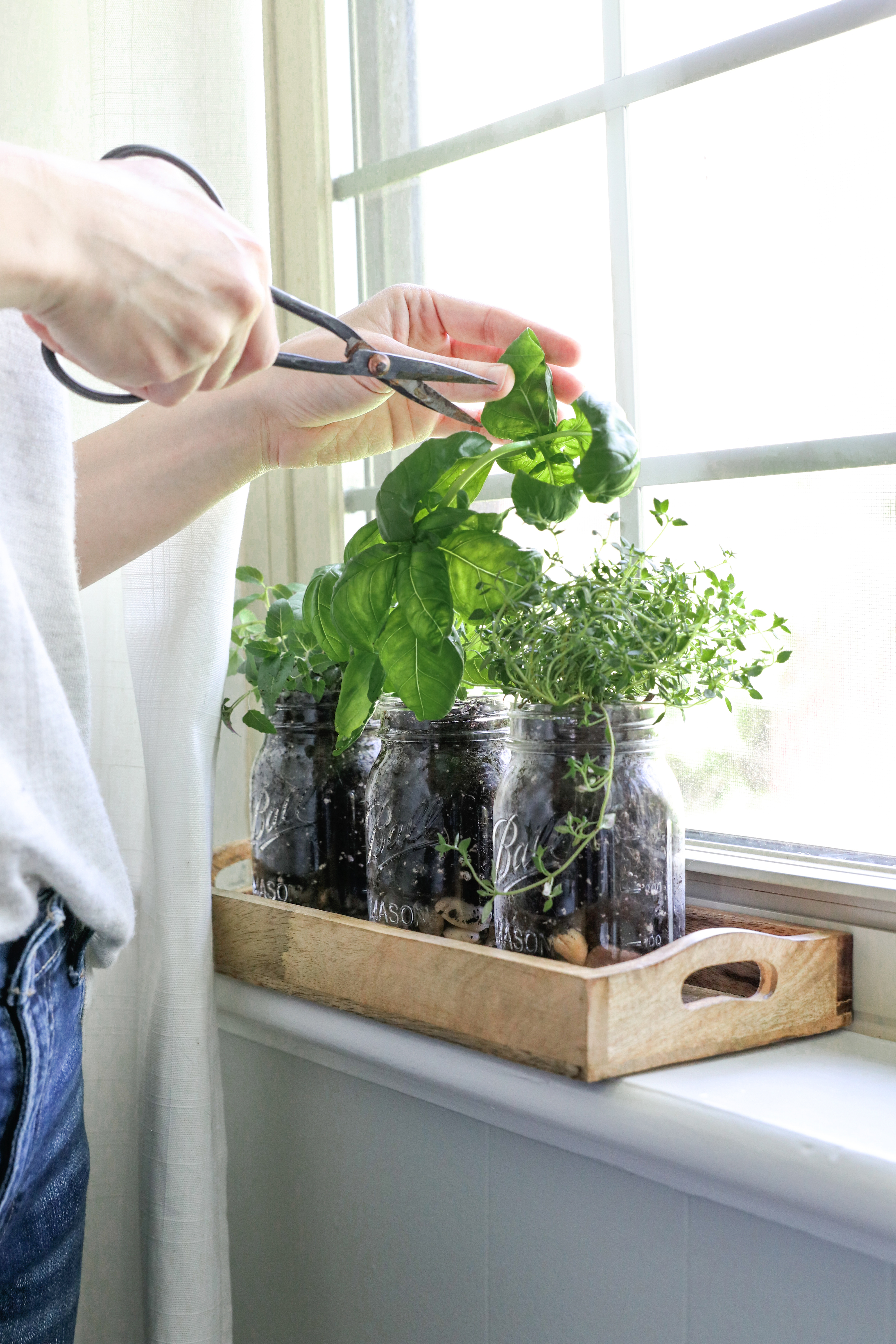 Sådan laver du en Mason Jar Herb Garden