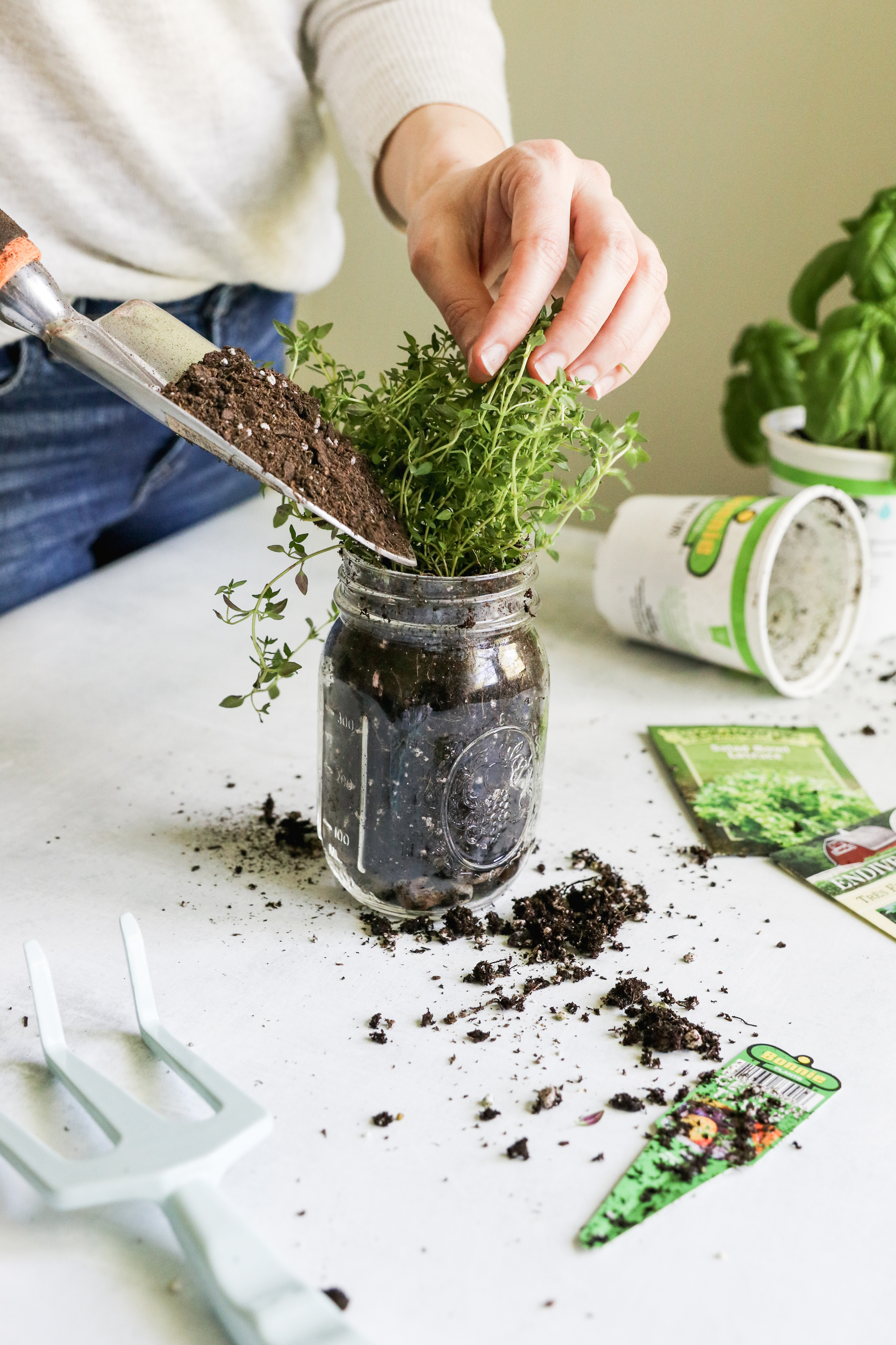 Hogyan készítsünk egy Mason Jar gyógynövény kertet