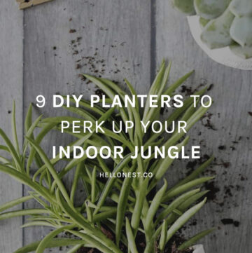 9 DIY planters to perk up your indoor jungle - Hello Glow
