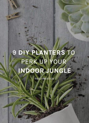 9 DIY planters to perk up your indoor jungle - Hello Glow