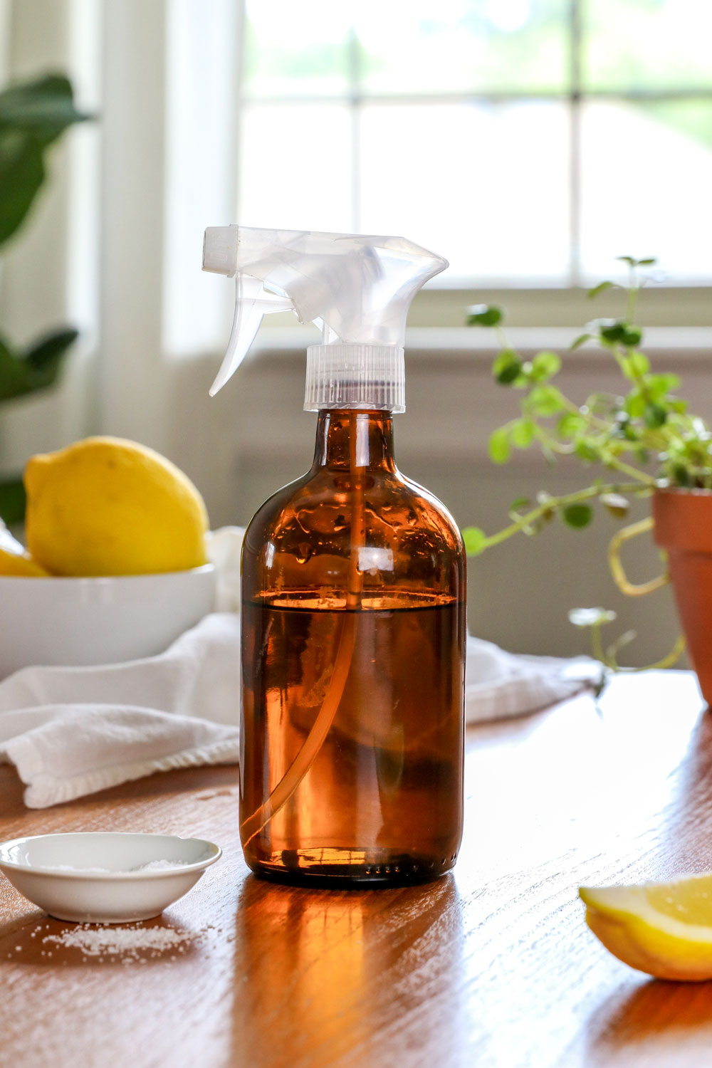 Homemade vinegar spray to get rid of ants