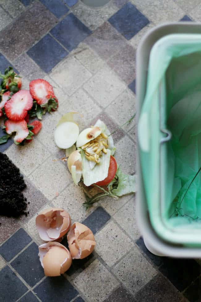 Indoor composting basics