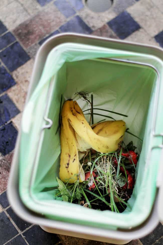 A beginner's guide to indoor composting
