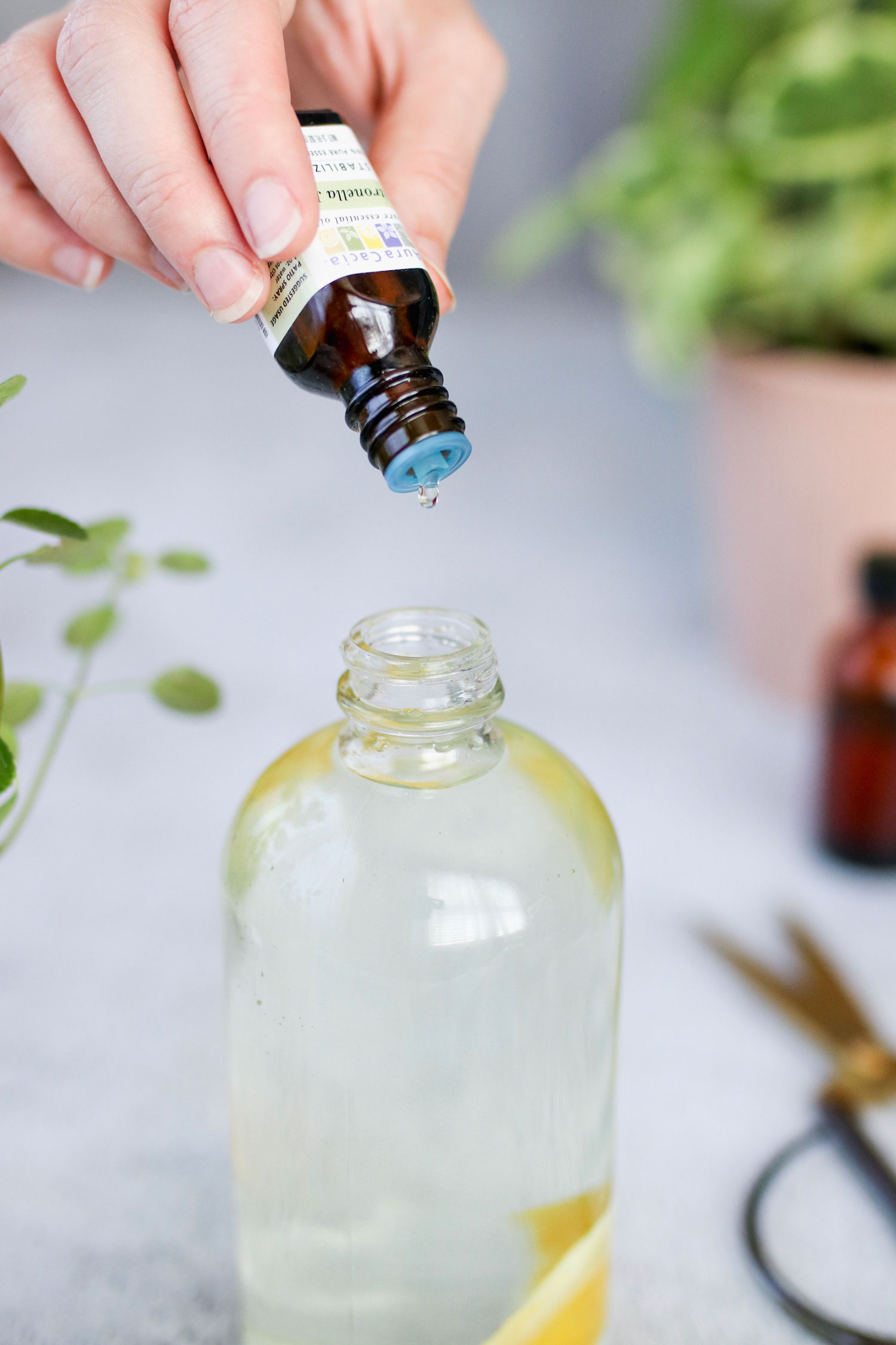 Citronella Bug Spray