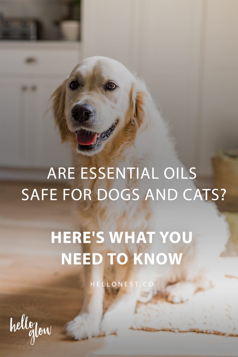 Are Essential Oils Safe for Dogs and Cats? Hello Nest