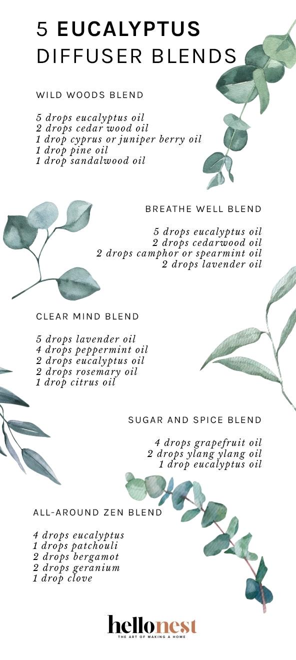 5 Eucalyptus Diffuser Blends - Hello Nest