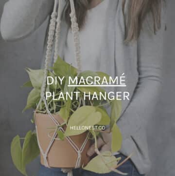 DIY Macrame Plant Hanger