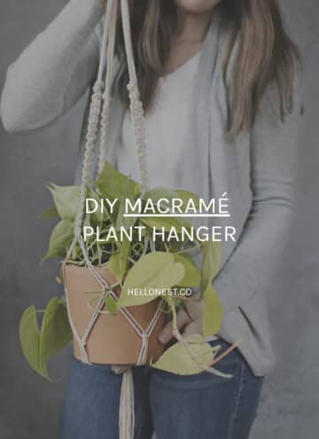 DIY Macrame Plant Hanger