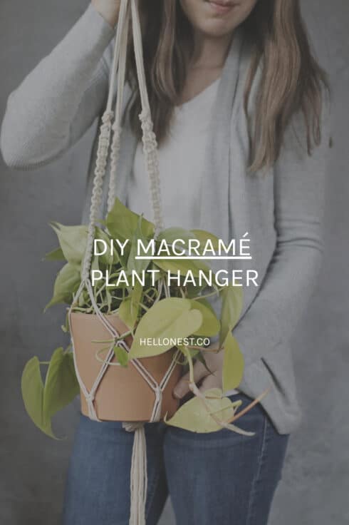 DIY Macrame Plant Hanger