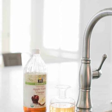 Apple Cider Vinegar Fruit Fly Trap