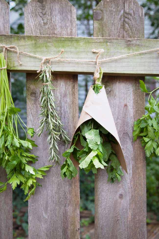 How to dry your herbs