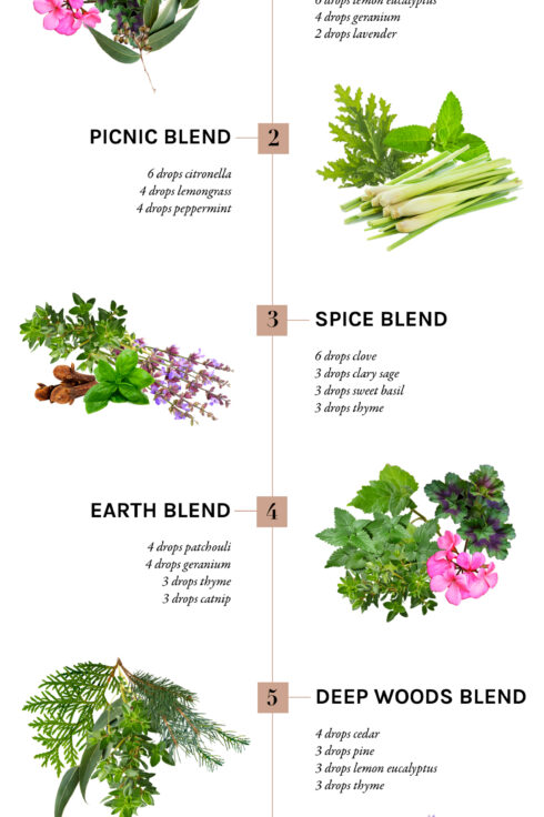 Hello Nest The Art Of Making A Home