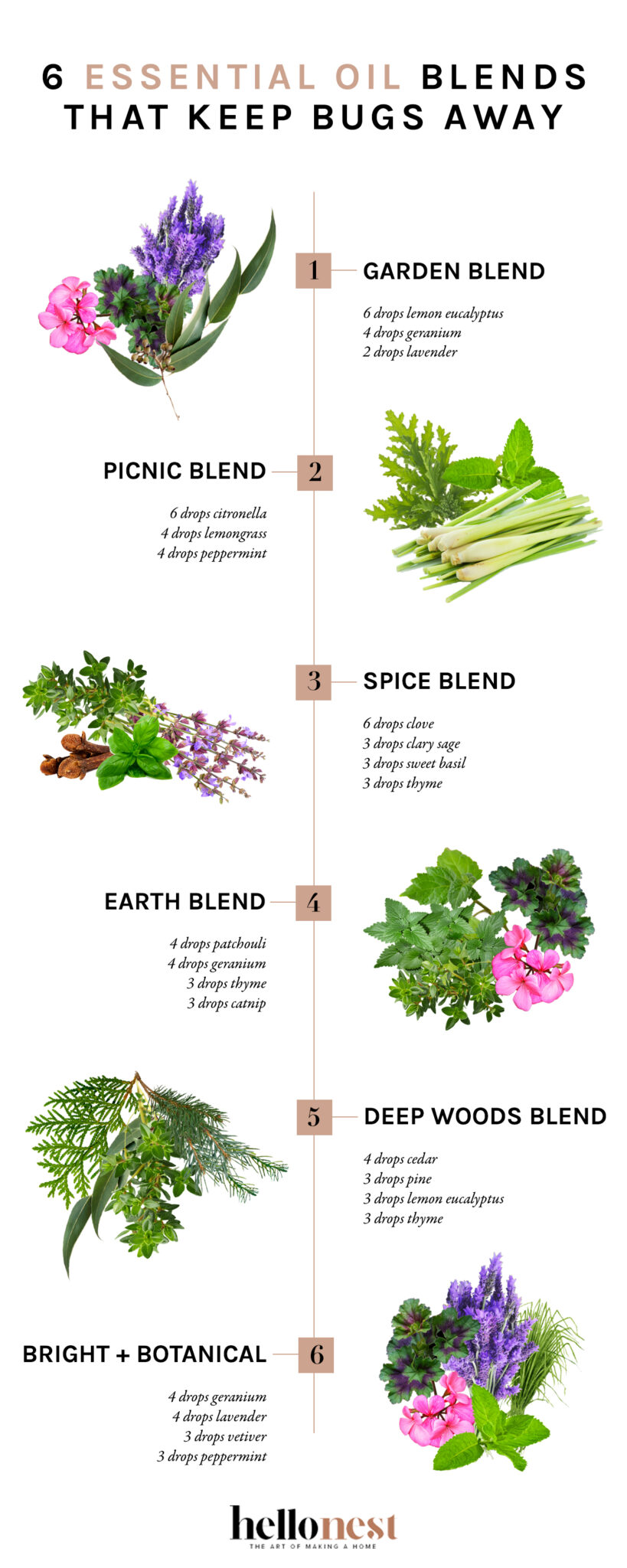 6 Essential Oil Blends That Will Keep Bugs Away Hello Nest