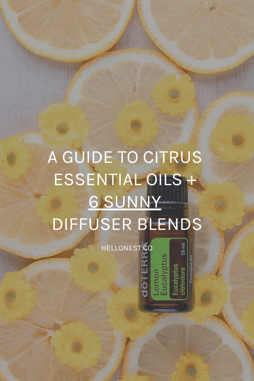 A Guide To Citrus Essential Oils + 6 Sunny Citrus Diffuser Blends ...