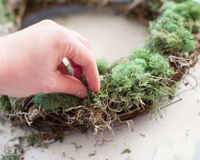 Making a basic grape moss wreath