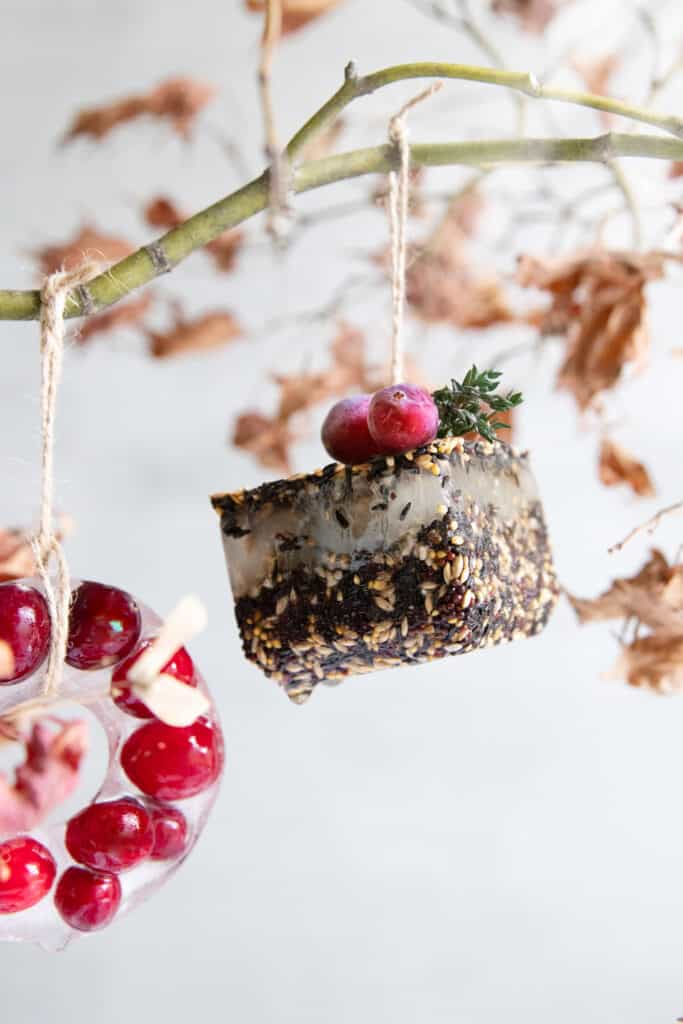 Ice cube tray uses - birdseed ornaments