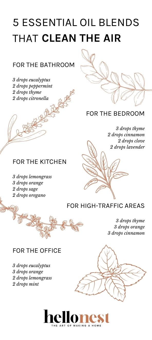 dōTERRA 2018 Winter Blends (Aus)  Essential oil diffuser blends recipes, Essential  oil diffuser blends, Essential oil diffuser recipes