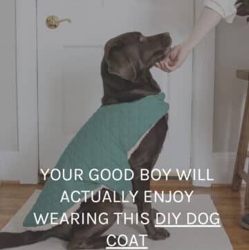 DIY dog coat