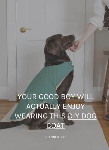 DIY dog coat