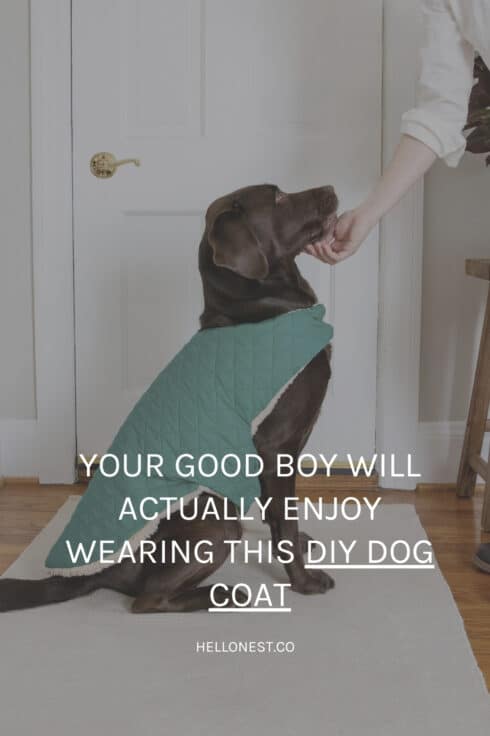 DIY dog coat