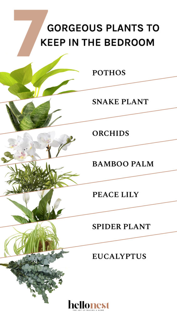 7 Gorgeous Plants to Keep in the Bedroom | Hello Nest