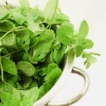 How to Use Peppermint Essential Oil to Combat Household Pests