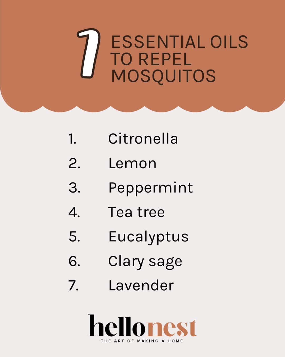 7 essential oils that repel mosquitos - Hello Nest