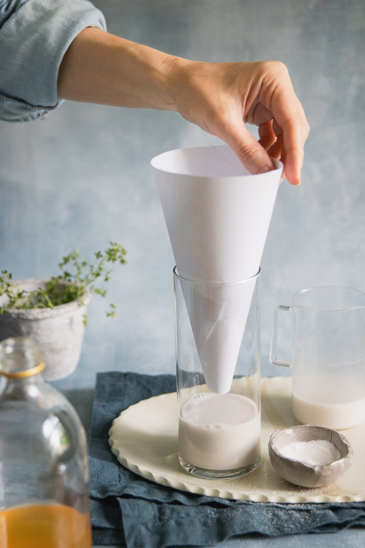 Milk and Sugar Fruit Fly Trap